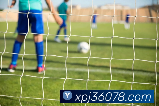 澳门新葡京网页平台生态图